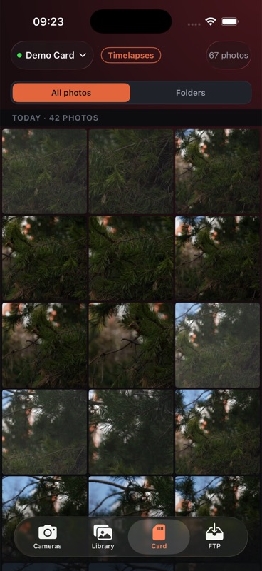 The camera's memory card browsed by day, as a grid of photographs.